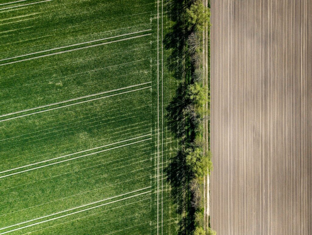 Aerial view of green field and tilled soil