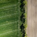 Aerial view of green field and tilled soil